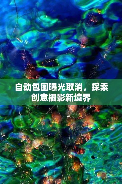 自動包圍曝光取消，探索創(chuàng)意攝影新境界