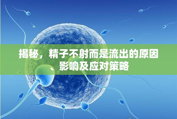 揭秘，精子不射而是流出的原因、影響及應(yīng)對策略