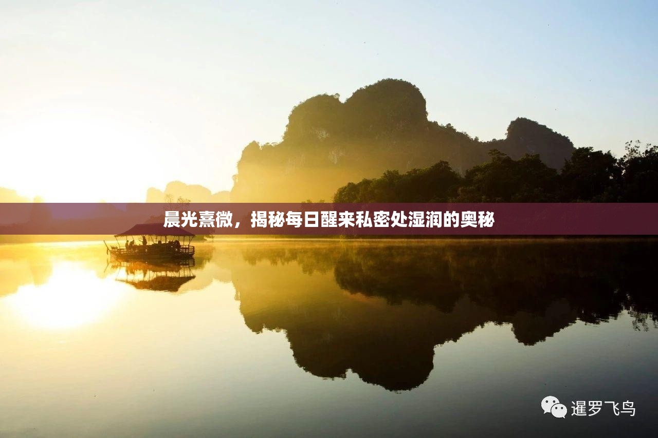 晨光熹微，揭秘每日醒來(lái)私密處濕潤(rùn)的奧秘