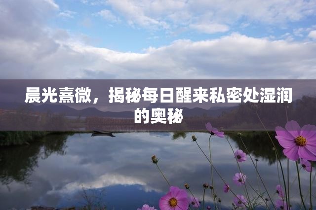 晨光熹微，揭秘每日醒來(lái)私密處濕潤(rùn)的奧秘