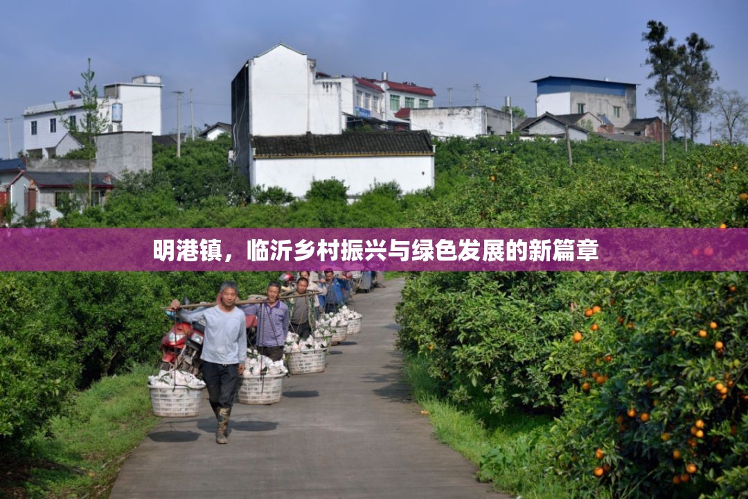 明港鎮(zhèn)，臨沂鄉(xiāng)村振興與綠色發(fā)展的新篇章