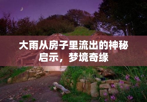 大雨從房子里流出的神秘啟示，夢(mèng)境奇緣
