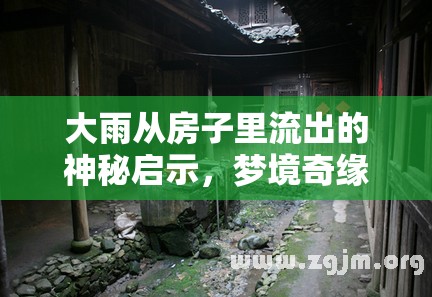 大雨從房子里流出的神秘啟示，夢(mèng)境奇緣