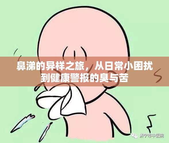 鼻涕的異樣之旅，從日常小困擾到健康警報(bào)的臭與苦