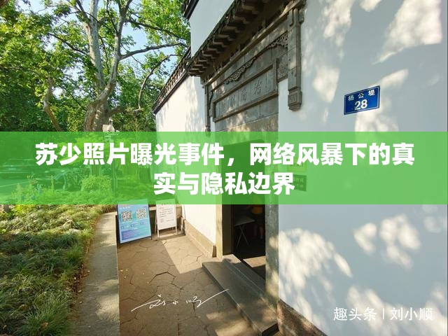 蘇少照片曝光事件，網(wǎng)絡(luò)風(fēng)暴下的真實(shí)與隱私邊界