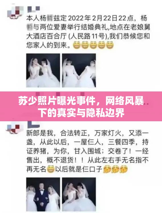 蘇少照片曝光事件，網(wǎng)絡(luò)風(fēng)暴下的真實(shí)與隱私邊界