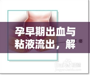 孕早期出血與粘液流出，解讀背后的真相與警報