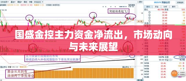 國(guó)盛金控主力資金凈流出，市場(chǎng)動(dòng)向與未來(lái)展望