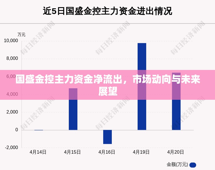 國(guó)盛金控主力資金凈流出，市場(chǎng)動(dòng)向與未來(lái)展望