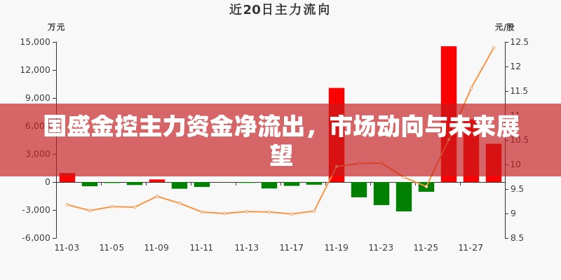 國(guó)盛金控主力資金凈流出，市場(chǎng)動(dòng)向與未來(lái)展望