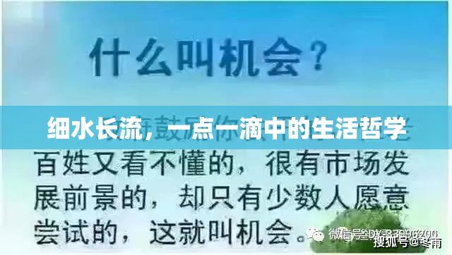 細(xì)水長(zhǎng)流，一點(diǎn)一滴中的生活哲學(xué)