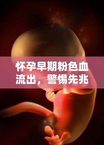 懷孕早期粉色血流出，警惕先兆流產(chǎn)的信號