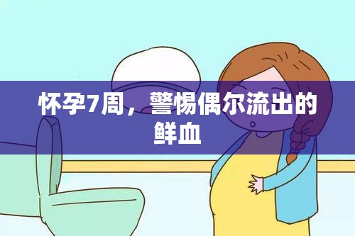 懷孕7周，警惕偶爾流出的鮮血