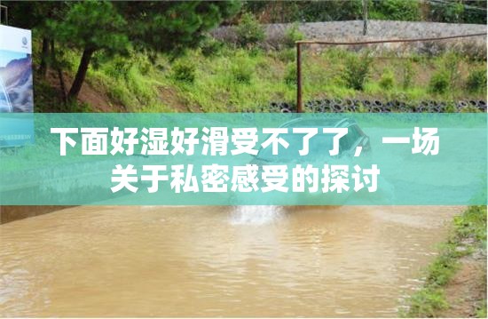 下面好濕好滑受不了了，一場關(guān)于私密感受的探討