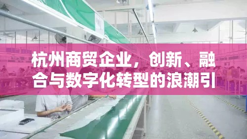 杭州商貿(mào)企業(yè)，創(chuàng)新、融合與數(shù)字化轉(zhuǎn)型的浪潮引領(lǐng)未來(lái)