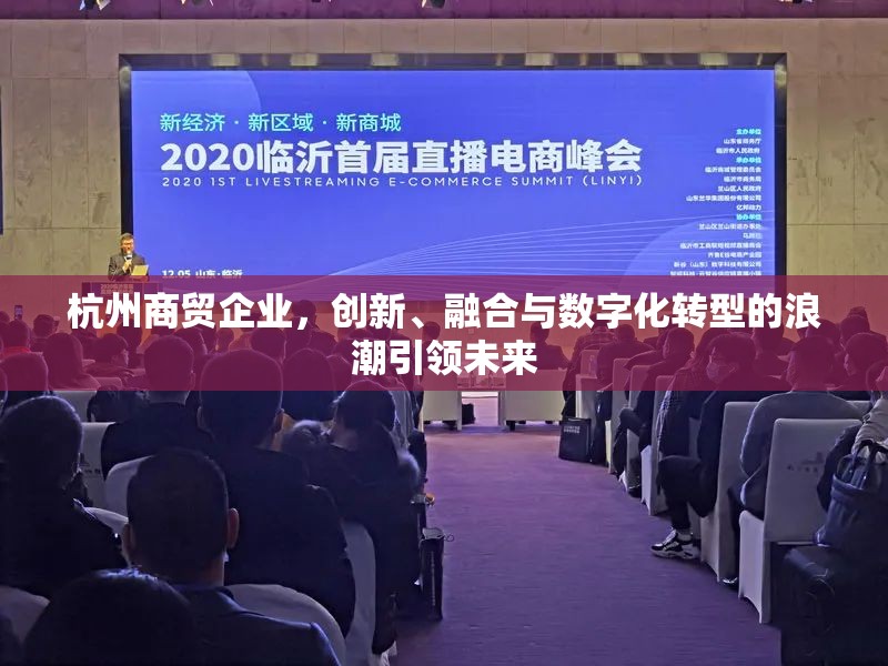 杭州商貿(mào)企業(yè)，創(chuàng)新、融合與數(shù)字化轉(zhuǎn)型的浪潮引領(lǐng)未來(lái)