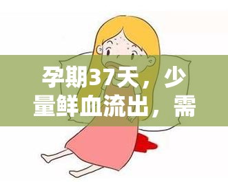 孕期37天，少量鮮血流出，需警惕的早期癥狀