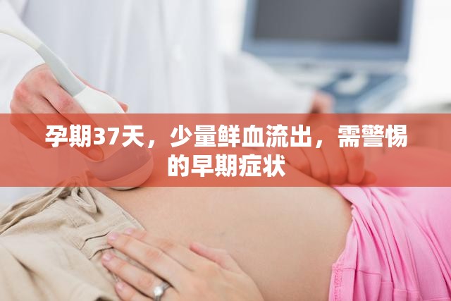 孕期37天，少量鮮血流出，需警惕的早期癥狀