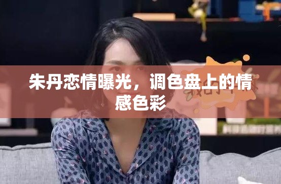 朱丹戀情曝光，調(diào)色盤上的情感色彩