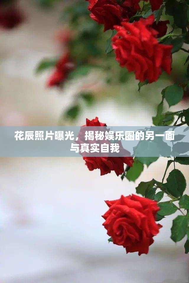 花辰照片曝光，揭秘娛樂圈的另一面與真實自我
