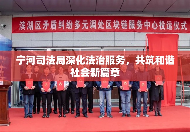 寧河司法局深化法治服務，共筑和諧社會新篇章