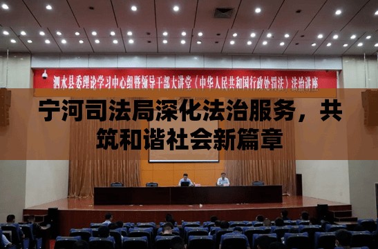 寧河司法局深化法治服務，共筑和諧社會新篇章