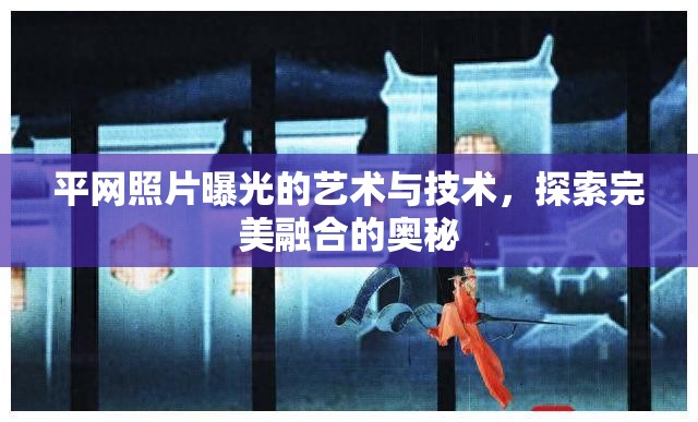 平網(wǎng)照片曝光的藝術(shù)與技術(shù)，探索完美融合的奧秘