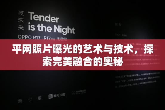 平網(wǎng)照片曝光的藝術(shù)與技術(shù)，探索完美融合的奧秘