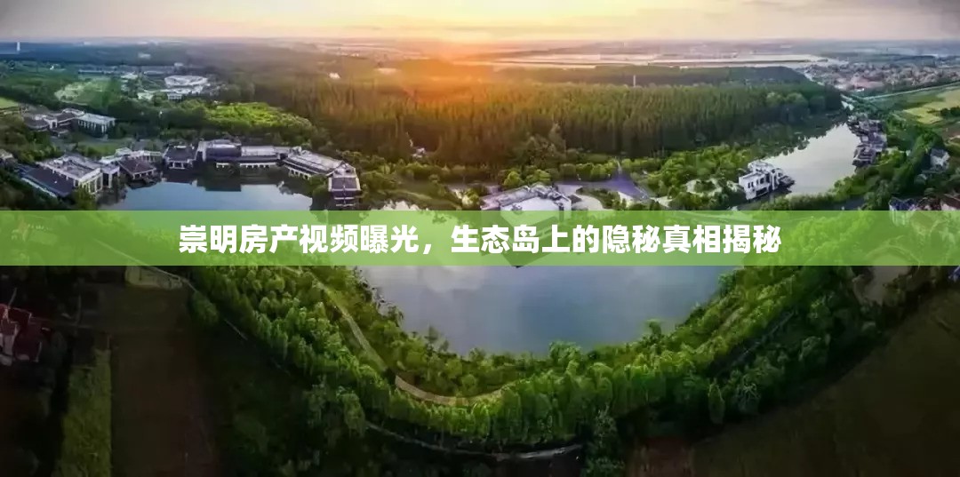 崇明房產(chǎn)視頻曝光，生態(tài)島上的隱秘真相揭秘