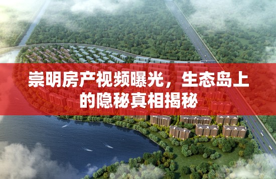 崇明房產(chǎn)視頻曝光，生態(tài)島上的隱秘真相揭秘