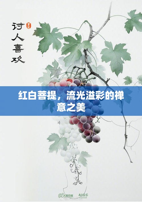 紅白菩提，流光溢彩的禪意之美