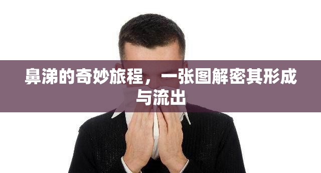 鼻涕的奇妙旅程，一張圖解密其形成與流出