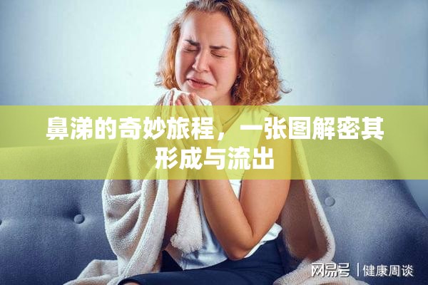 鼻涕的奇妙旅程，一張圖解密其形成與流出