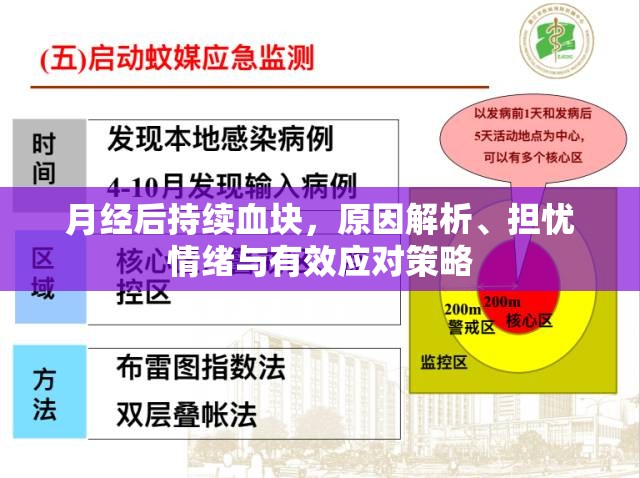 月經(jīng)后持續(xù)血塊，原因解析、擔憂情緒與有效應(yīng)對策略