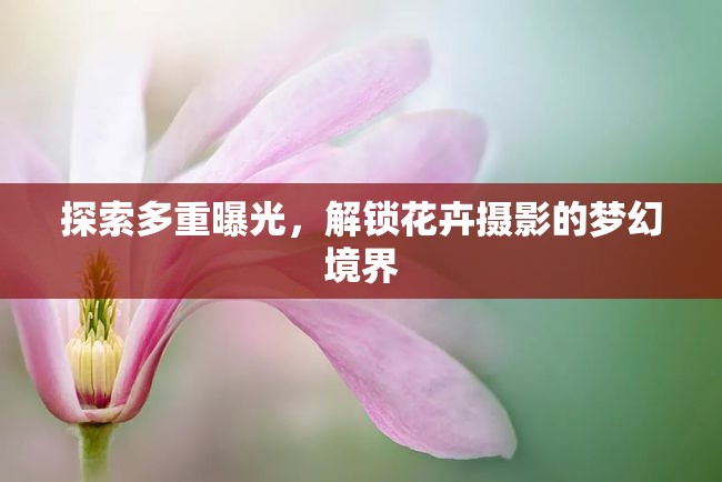 探索多重曝光，解鎖花卉攝影的夢(mèng)幻境界