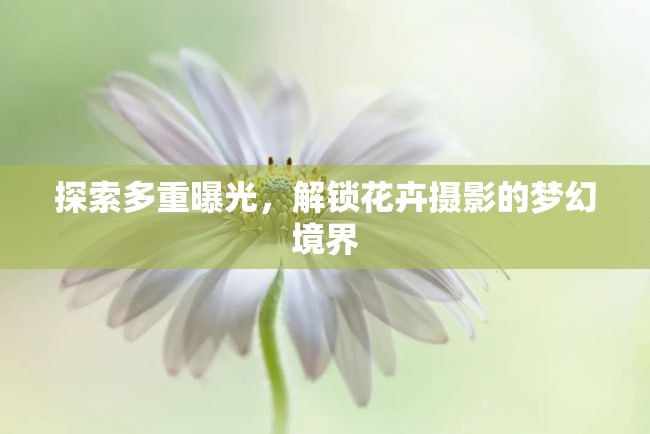 探索多重曝光，解鎖花卉攝影的夢(mèng)幻境界