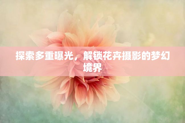 探索多重曝光，解鎖花卉攝影的夢(mèng)幻境界