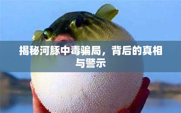 揭秘河豚中毒騙局，背后的真相與警示