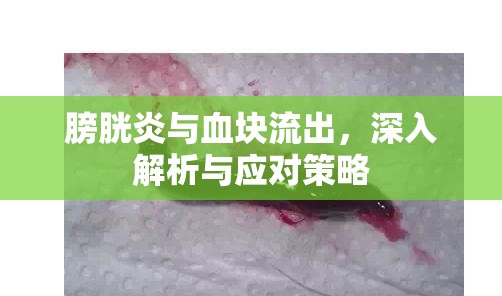 膀胱炎與血塊流出，深入解析與應(yīng)對策略