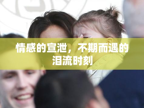 情感的宣泄，不期而遇的淚流時(shí)刻