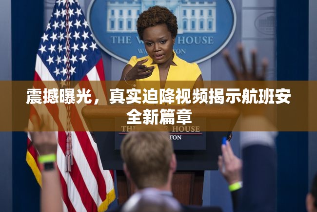 震撼曝光，真實(shí)迫降視頻揭示航班安全新篇章