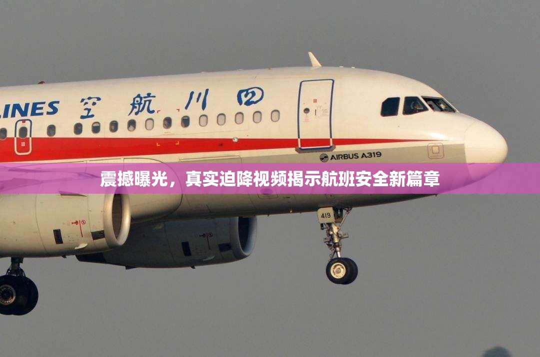 震撼曝光，真實(shí)迫降視頻揭示航班安全新篇章