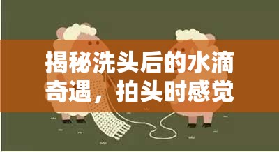 揭秘洗頭后的水滴奇遇，拍頭時感覺有水流出的奇妙小秘密