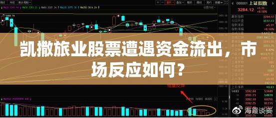 凱撒旅業(yè)股票遭遇資金流出，市場反應(yīng)如何？