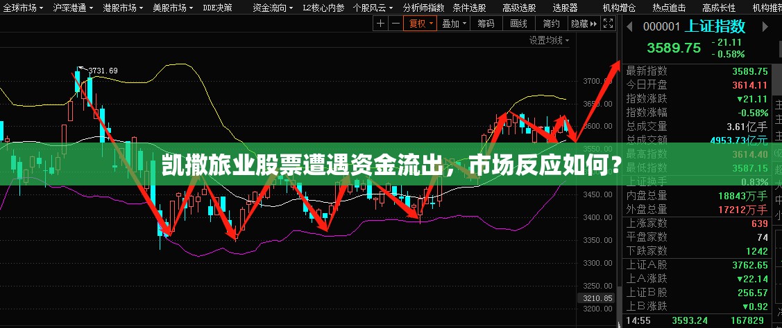 凱撒旅業(yè)股票遭遇資金流出，市場反應(yīng)如何？