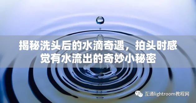 揭秘洗頭后的水滴奇遇，拍頭時感覺有水流出的奇妙小秘密