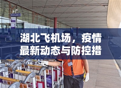 湖北飛機(jī)場(chǎng)，疫情最新動(dòng)態(tài)與防控措施的堅(jiān)實(shí)防線