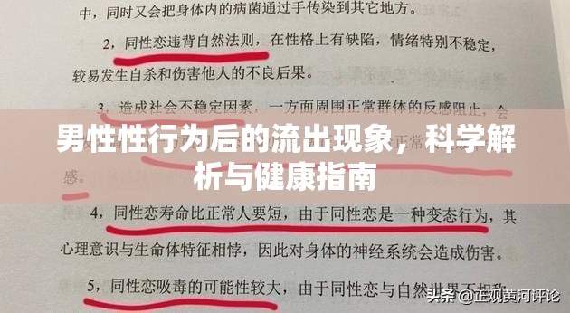 男性性行為后的流出現(xiàn)象，科學(xué)解析與健康指南