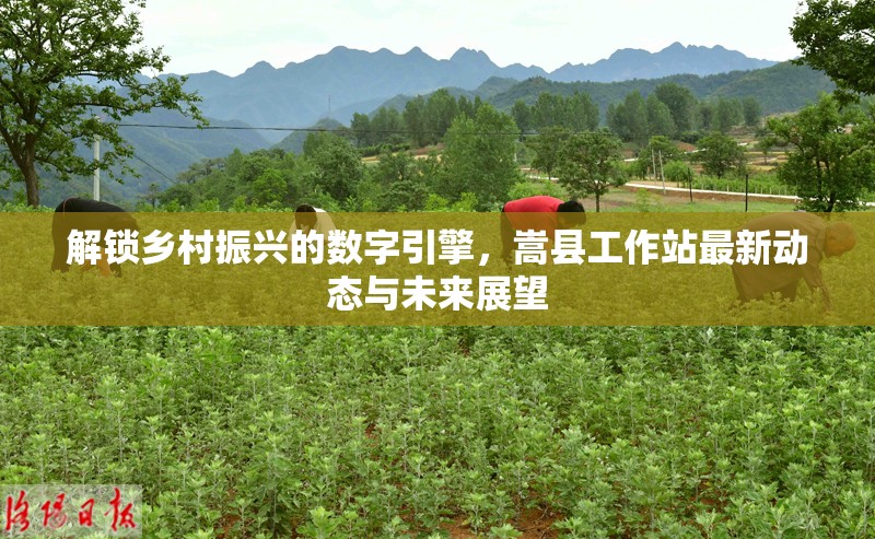 解鎖鄉(xiāng)村振興的數(shù)字引擎，嵩縣工作站最新動態(tài)與未來展望