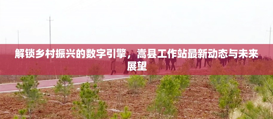 解鎖鄉(xiāng)村振興的數(shù)字引擎，嵩縣工作站最新動態(tài)與未來展望